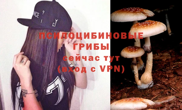 крисы Богданович