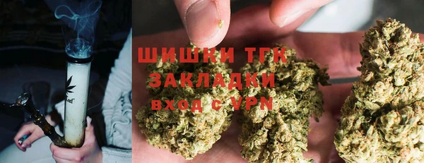 крисы Богданович