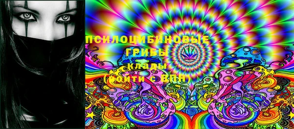 крисы Богданович