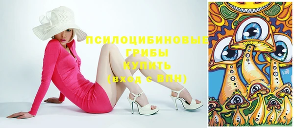 крисы Богданович
