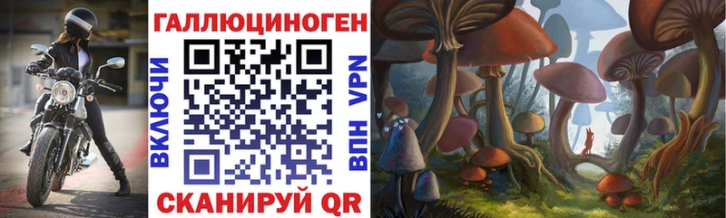 Галлюциногенные грибы Cubensis  Купить закладки  Сергач 
