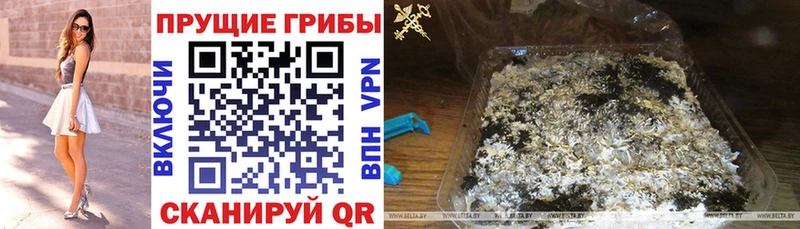 Галлюциногенные грибы MAGIC MUSHROOMS Сергач